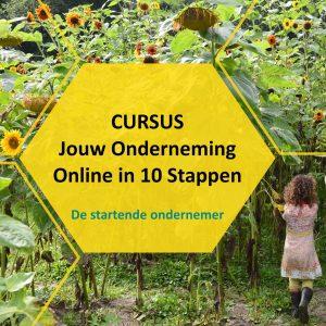 Cursus jouw onderneming online in 10 stappen