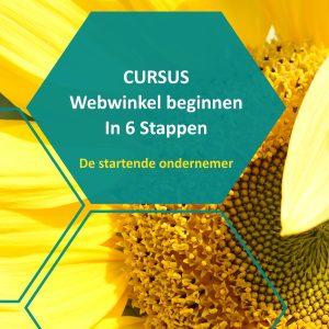 cursus webwinkel beginnen in 6 stappen