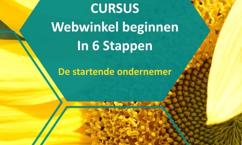Cursus webwinkel beginnen in 6 stappen