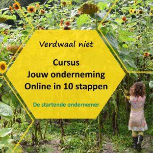 jouw onderneming online